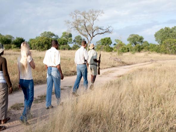 Notten's Bush Camp - Walking Safari 